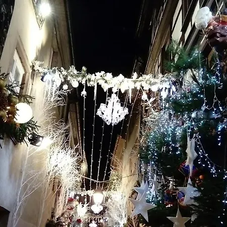 Gite spacieux et cosy à la campagne proche de Strasbourg Achenheim Extérieur photo