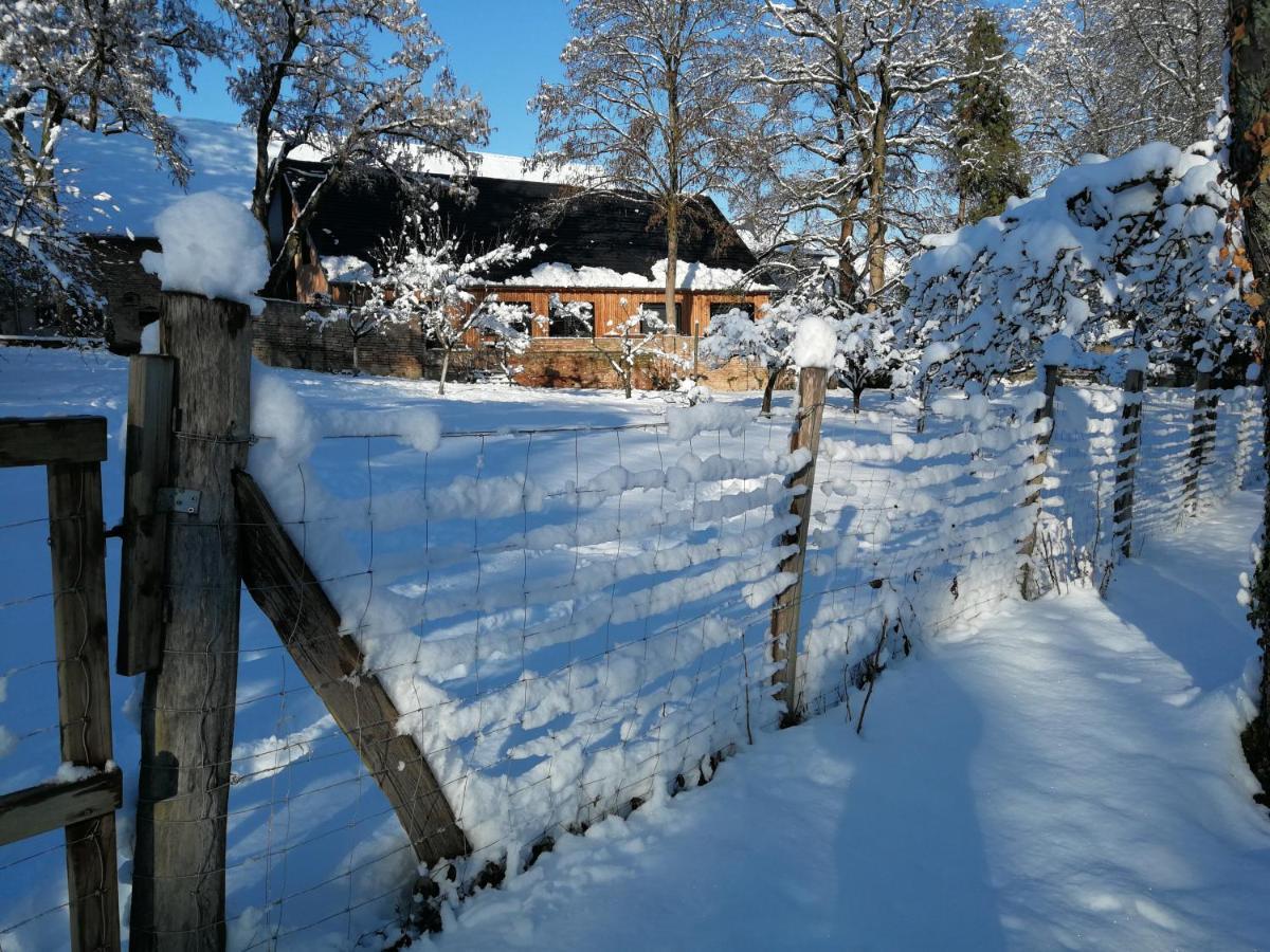 Spacieux Et Cosy A La Campagne Proche De Strasbourg Ferienhaus *
