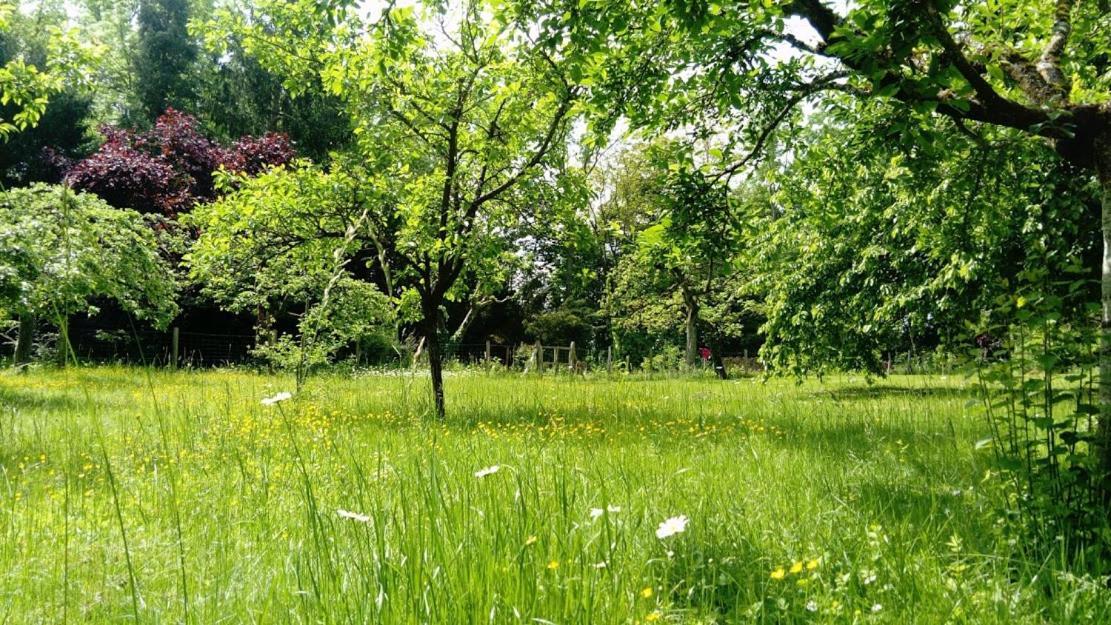 Spacieux Et Cosy A La Campagne Proche De Strasbourg Ferienhaus
